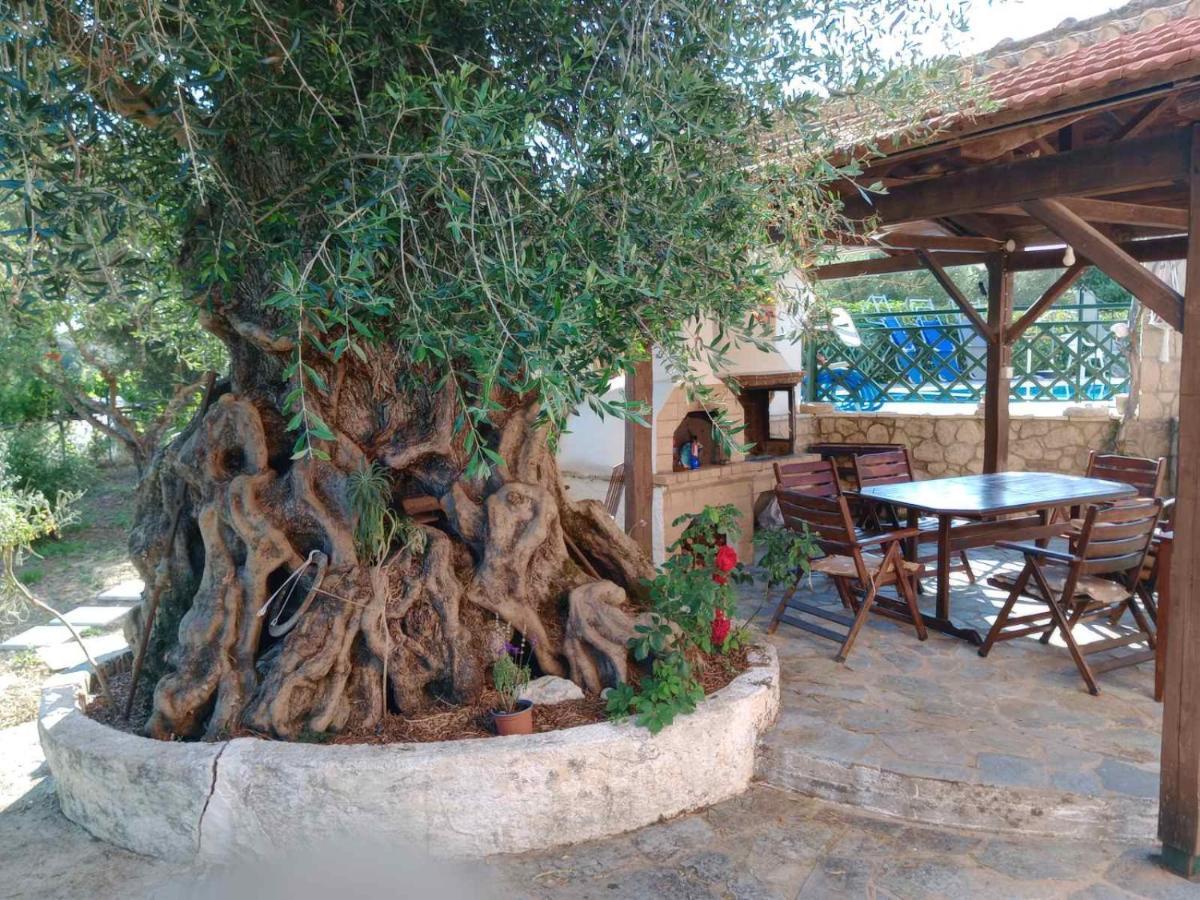 Pool Villa Grigoris Aspiotades Екстериор снимка